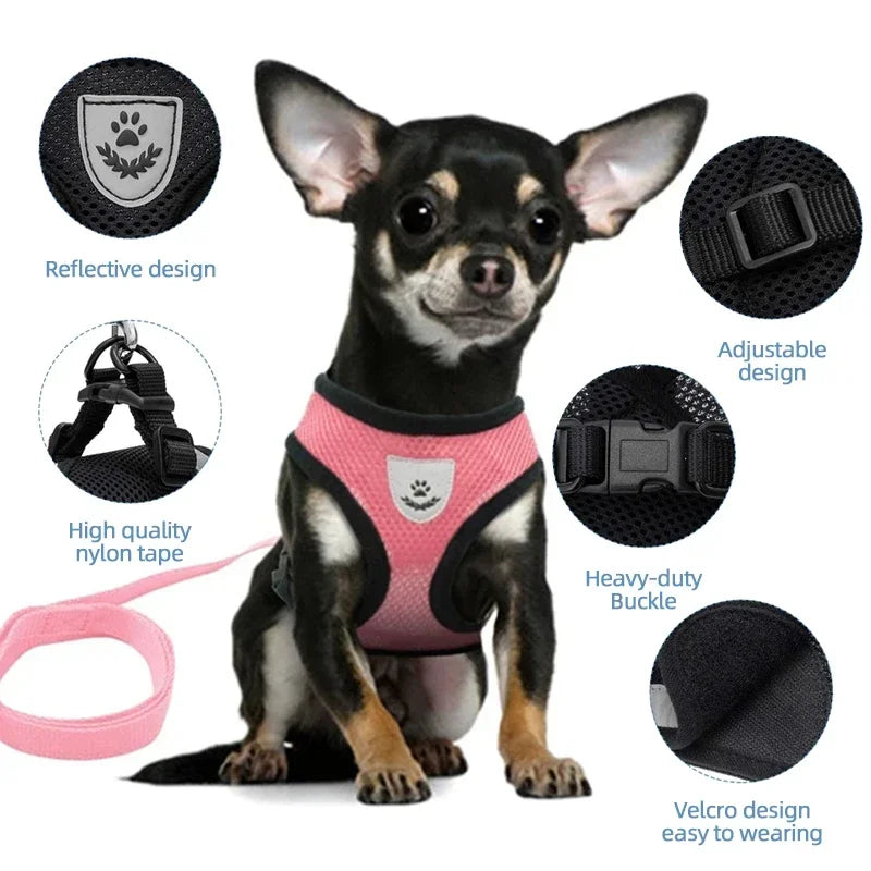 Cat Harness & Leash