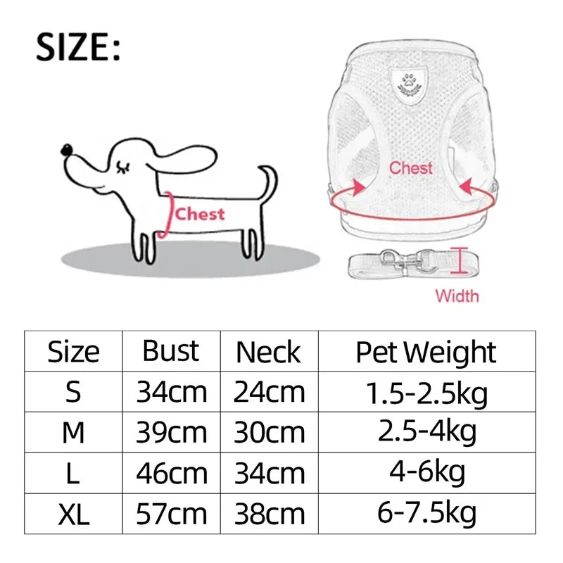 Cat Harness & Leash