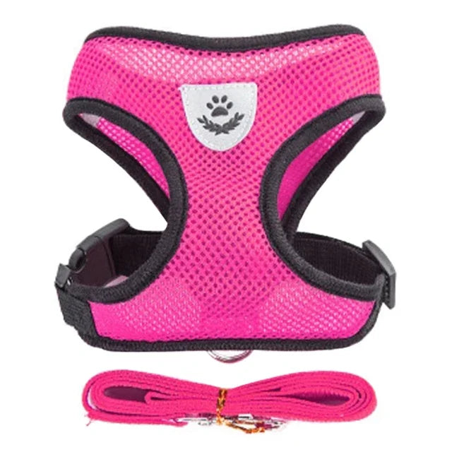 Cat Harness & Leash