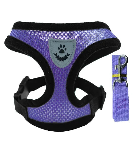 Cat Harness & Leash