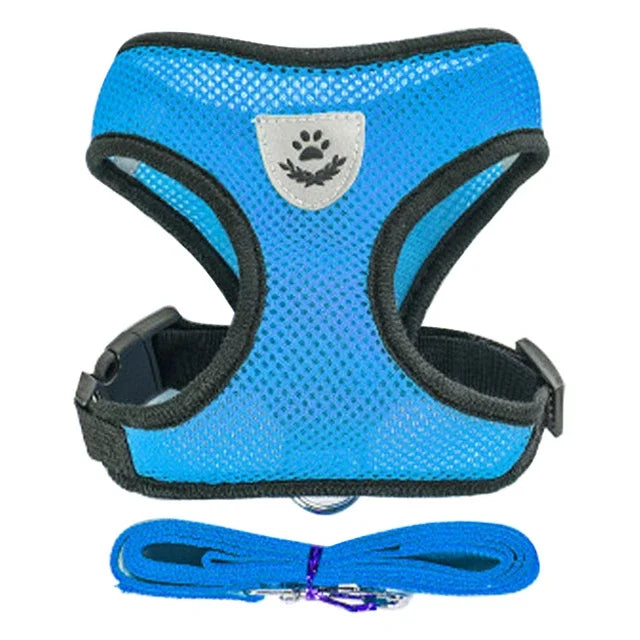 Cat Harness & Leash