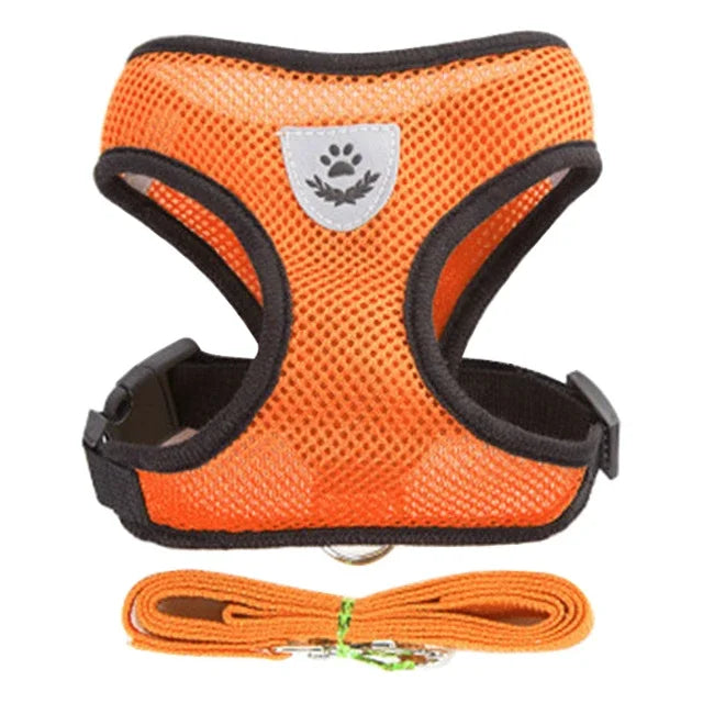 Cat Harness & Leash