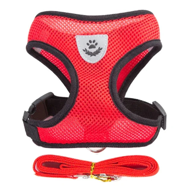 Cat Harness & Leash