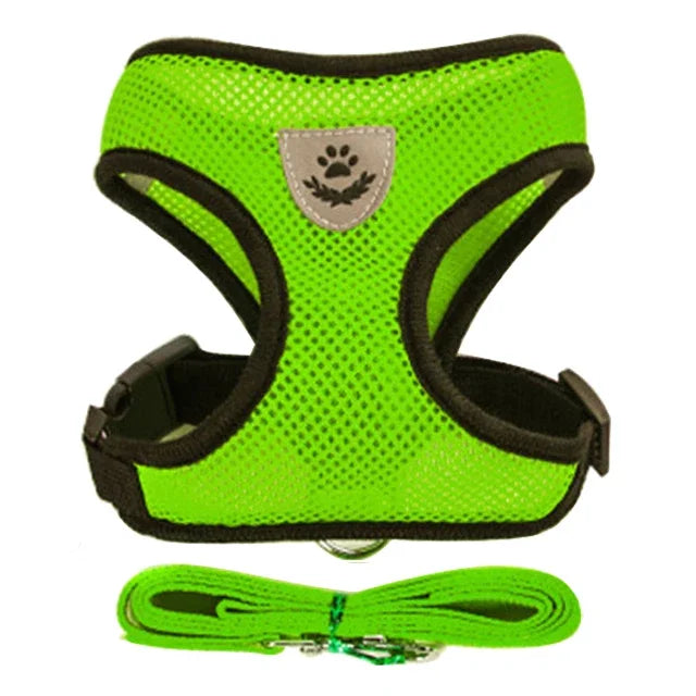Cat Harness & Leash