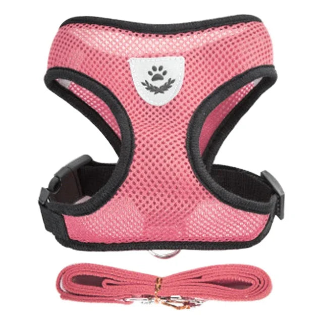Cat Harness & Leash