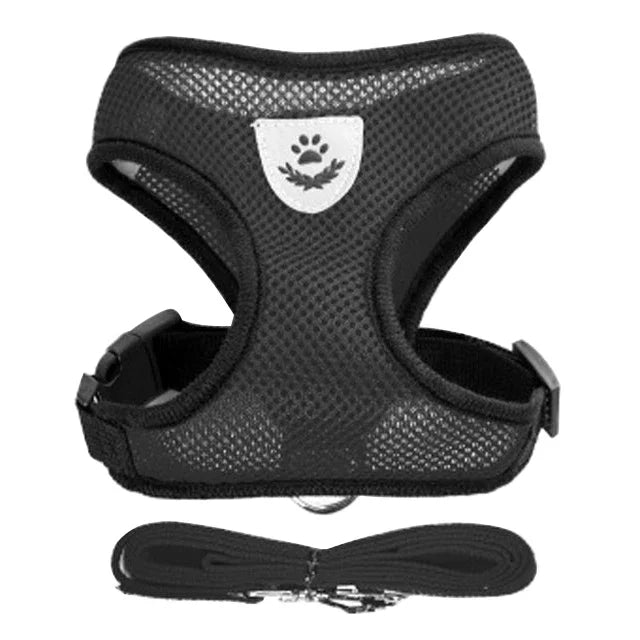 Cat Harness & Leash