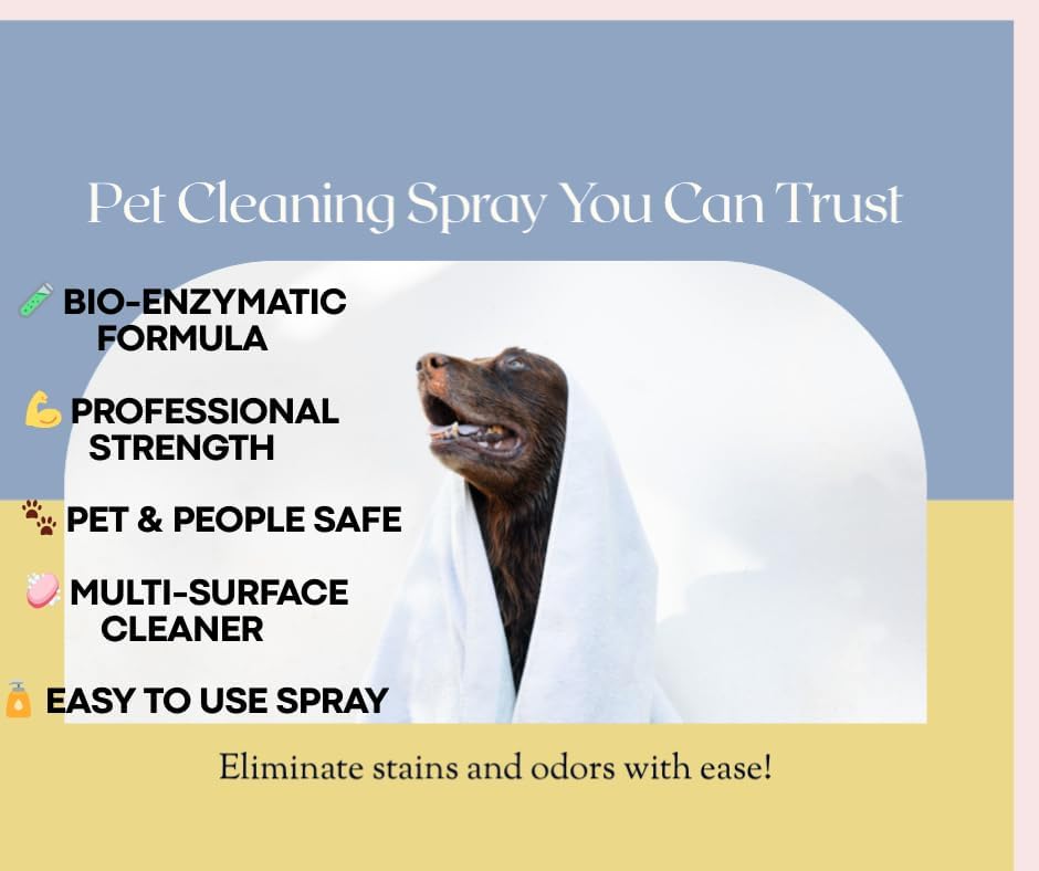 Stain & Odor Remover For Strong Odor – Enzyme Pet Odor Eliminator For Home Use. Powerful Carpet Stain Remover That Tackles Cat And Dog Pee,. This Enzymatic Cat Urine Destroyer Works Deep To Clean