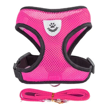Cat Harness & Leash