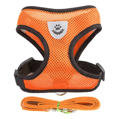 Cat Harness & Leash