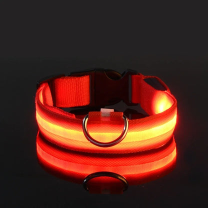 LED Safety Dog Collar – Glow-in-the-Dark Accessory