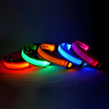 LED Safety Dog Collar – Glow-in-the-Dark Accessory