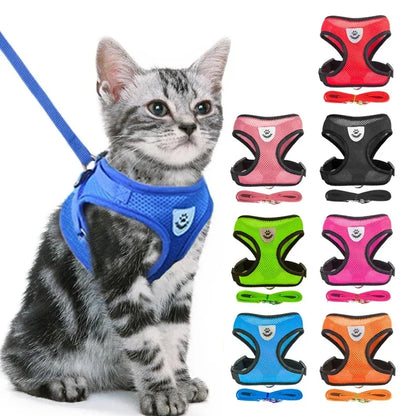 Cat Harness & Leash