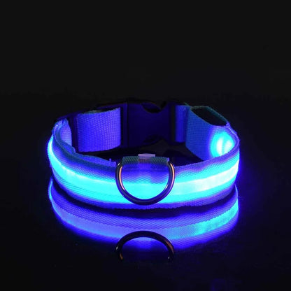 LED Safety Dog Collar – Glow-in-the-Dark Accessory