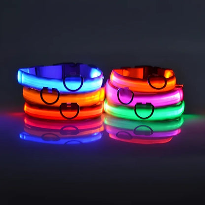 LED Safety Dog Collar – Glow-in-the-Dark Accessory