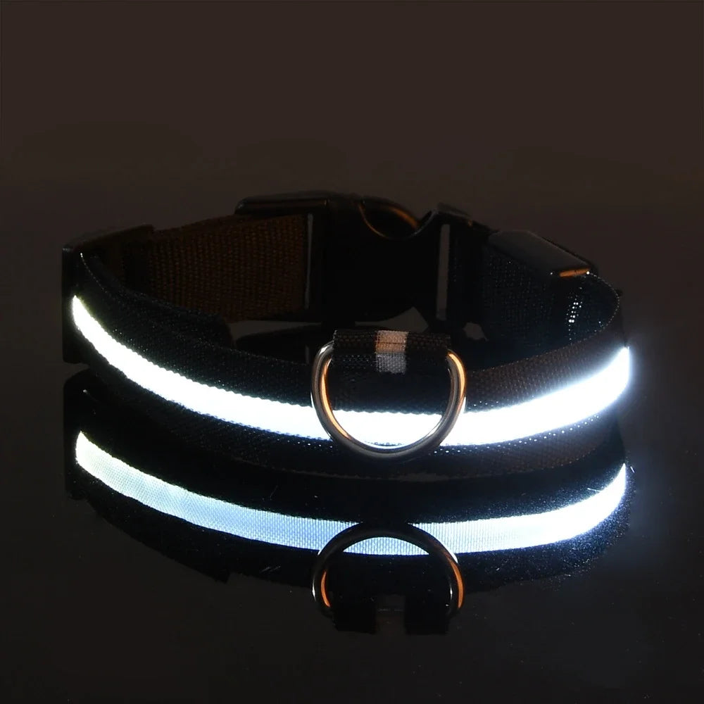 LED Safety Dog Collar – Glow-in-the-Dark Accessory