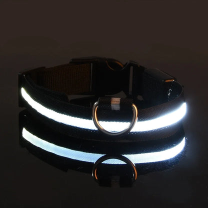 LED Safety Dog Collar – Glow-in-the-Dark Accessory