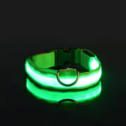 LED Safety Dog Collar – Glow-in-the-Dark Accessory