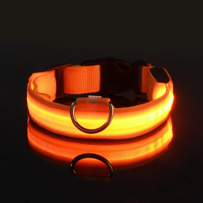 LED Safety Dog Collar – Glow-in-the-Dark Accessory