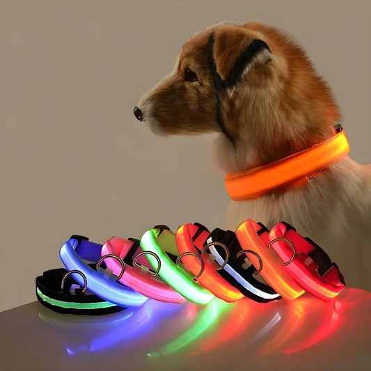 LED Safety Dog Collar – Glow-in-the-Dark Accessory