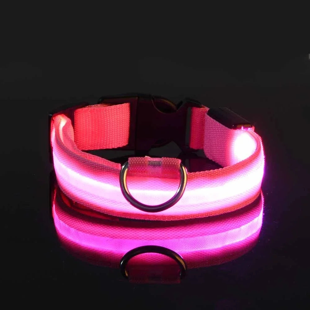 LED Safety Dog Collar – Glow-in-the-Dark Accessory