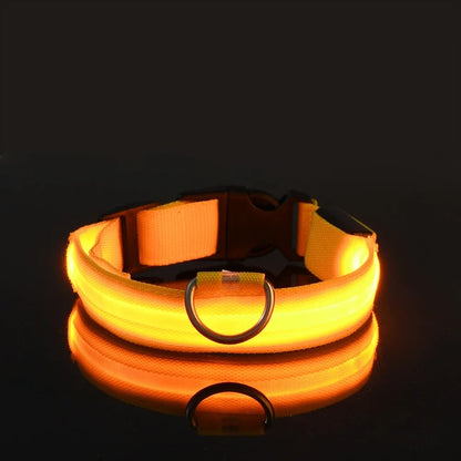 LED Safety Dog Collar – Glow-in-the-Dark Accessory