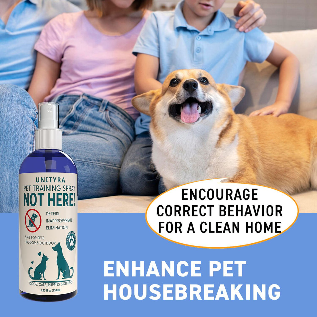 Not Here! Pet Deterrent Spray for Dogs Cats Puppies & Kittens – Stops Peeing Pooping & Marking – Anti Chew Pee Repellent – Indoor Outdoor Training Spray for Furniture Carpet & Floors