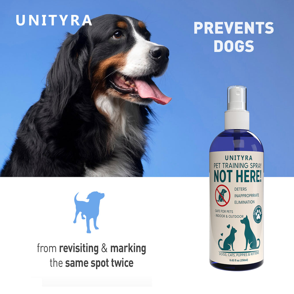 Not Here! Pet Deterrent Spray for Dogs Cats Puppies & Kittens – Stops Peeing Pooping & Marking – Anti Chew Pee Repellent – Indoor Outdoor Training Spray for Furniture Carpet & Floors