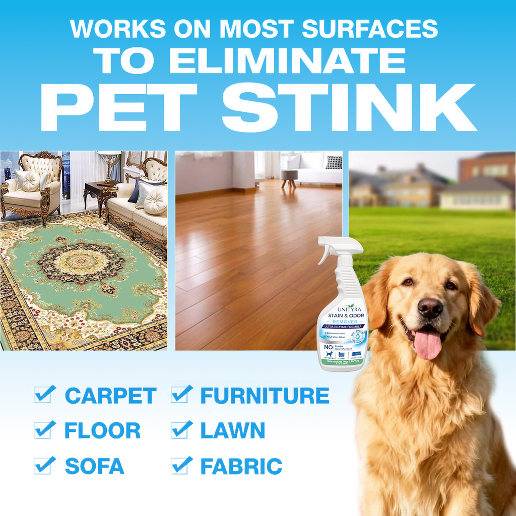 UNITYRA Enzymatic Pet Stain & Odor Remover Spray for Cats & Dogs, Removes Urine & Vomit, Multi-Surface Cleaner for Carpet, Sofa & Floor, No Harsh Chemicals, 500ml