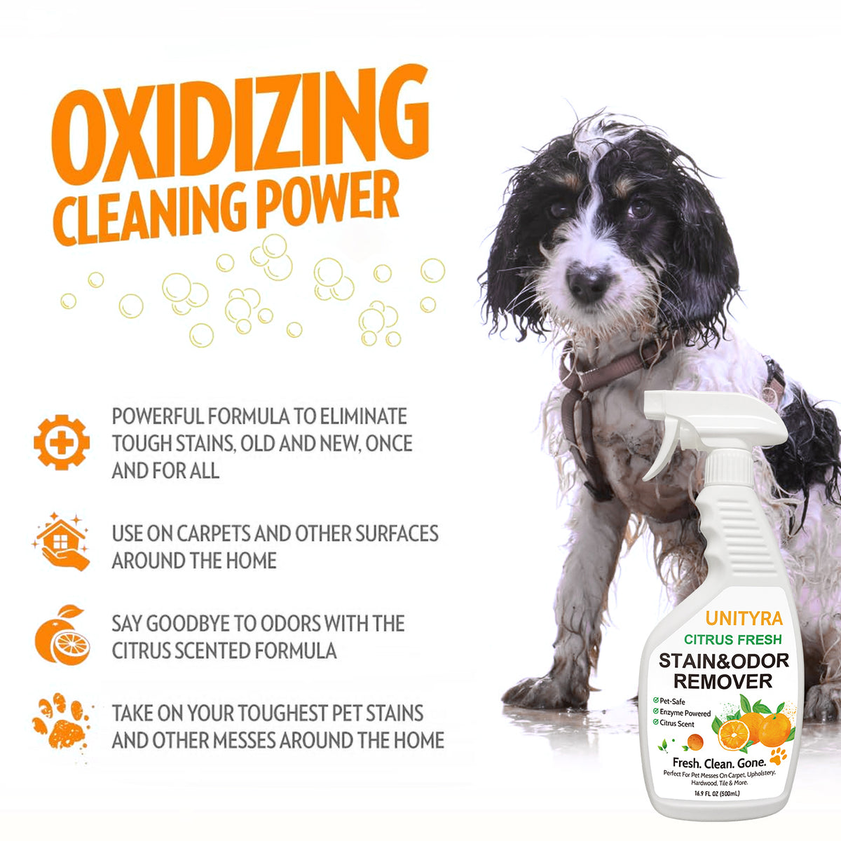Pet Deodorizer Spray – Citrus Scent Stain & Odor Eliminator for Dogs & Cats | Removes Urine, Pee & Litter Box Smell | Pet Stain & Odor Remover for Home floor, Carpet, Furniture & Kennels 500ml