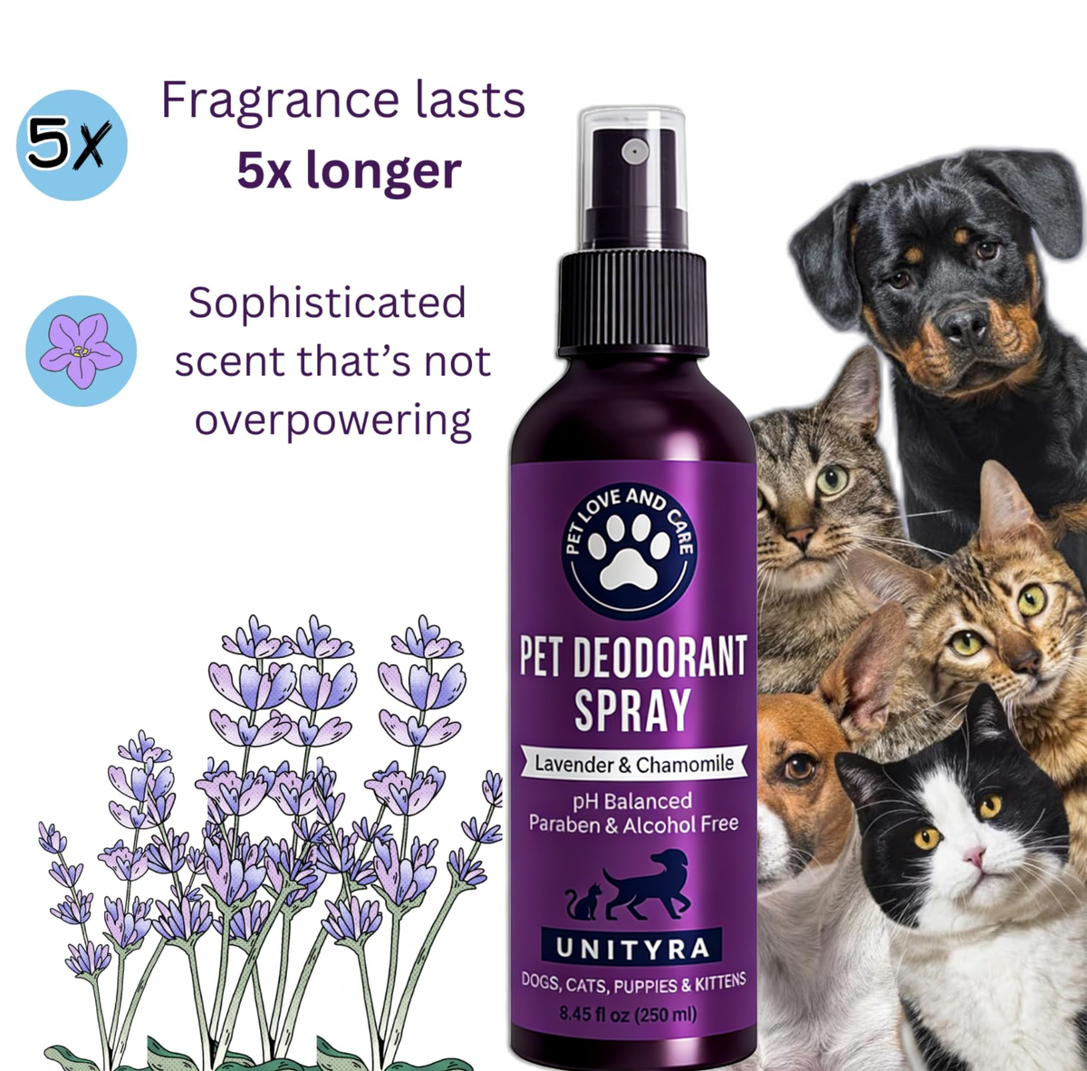 Lavender Dog Deodorant Spray – Calming & Odor Control Spray for Smelly Dogs, Puppies & Cats – Natural Pet Grooming, Deodorizer & Detangler spray– with Lavender Essential Oil 250ml