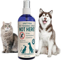 Not Here! Pet Deterrent Spray for Dogs Cats Puppies & Kittens – Stops Peeing Pooping & Marking – Anti Chew Pee Repellent – Indoor Outdoor Training Spray for Furniture Carpet & Floors